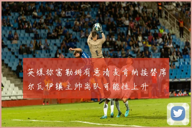 英媒称富勒姆有意请麦肯纳接替席尔瓦伊镇主帅离队可能性上升
