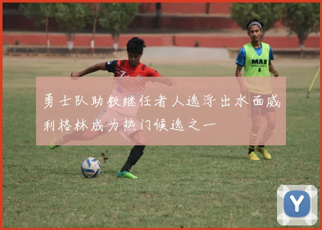 勇士队助教继任者人选浮出水面威利格林成为热门候选之一